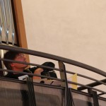 Gianni Fassetta, durante il concerto di fisarmonica e organo a Villadolt di Fontanafredda